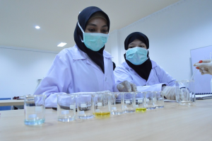 PMB Universitas Mulia