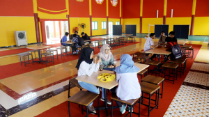 PMB Universitas Mulia